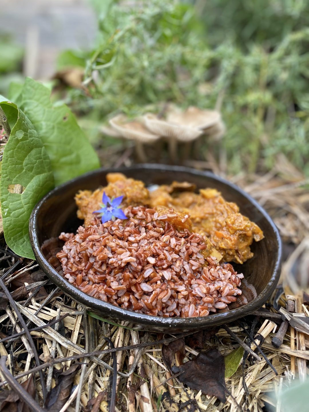 Bourguignon végétarien